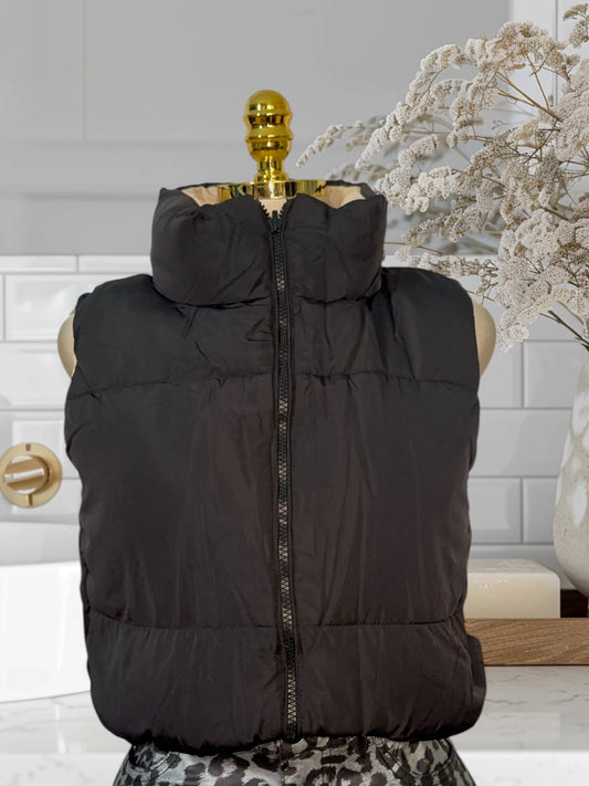 Reversible vest